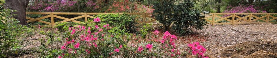 Grand Bay Old Town Park